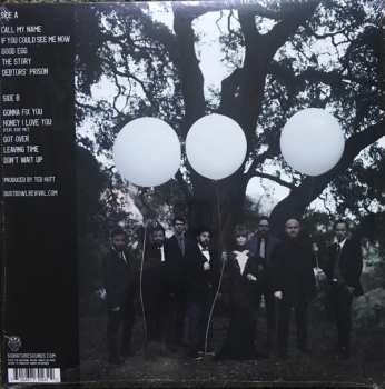 LP The Dustbowl Revival: The Dustbowl Revival  CLR