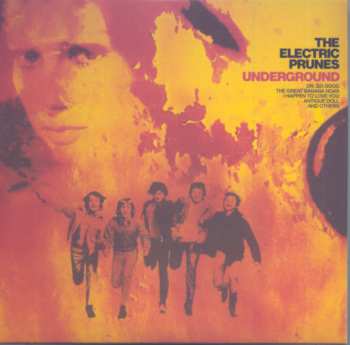 6CD/Doos The Electric Prunes: Then Came The Dawn (Complete Recordings 1966-1969)