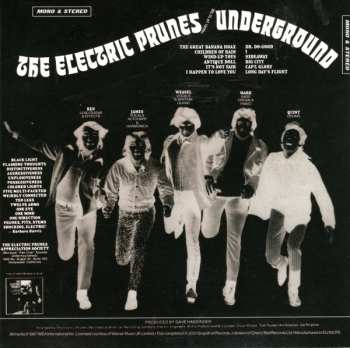 6CD/Doos The Electric Prunes: Then Came The Dawn (Complete Recordings 1966-1969)