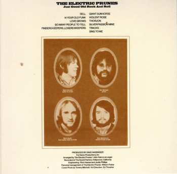 6CD/Doos The Electric Prunes: Then Came The Dawn (Complete Recordings 1966-1969)