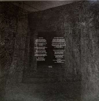 LP The Ember, The Ash: Consciousness Torn From The Void