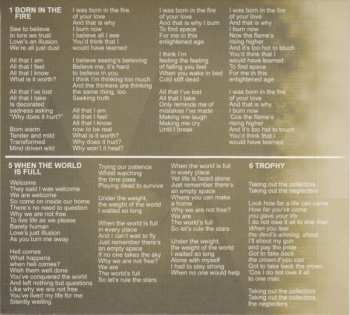 CD The Enid: Dust