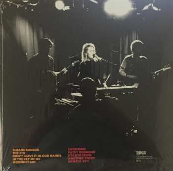 LP The Essex Green: Hardly Electronic