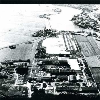 CD/Doos The Ex: Dignity Of Labour