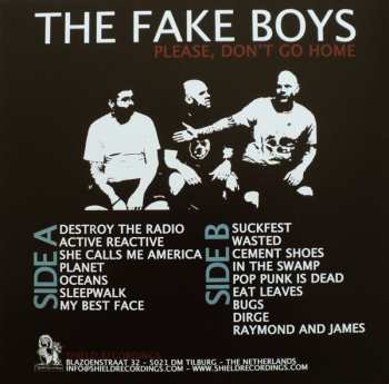 LP The Fake Boys: Please Don't Go Home