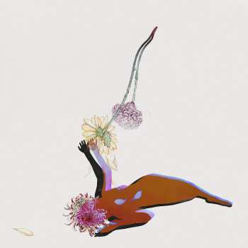 Album Future Islands: The Far Field 