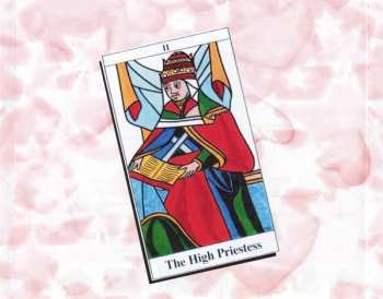 CD The Fighting Cocks: Music For Lapdancers