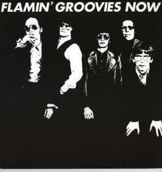 CD The Flamin' Groovies: Now