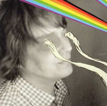 CD The Flaming Lips: The Dark Side Of The Moon