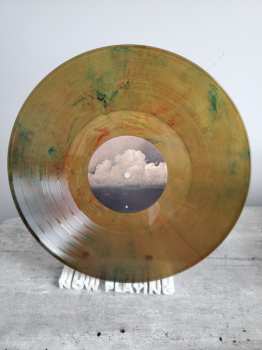 LP The Flatliners: New Ruin