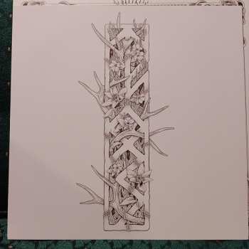 LP The Flight Of Sleipnir: Nature's Cadence CLR | LTD