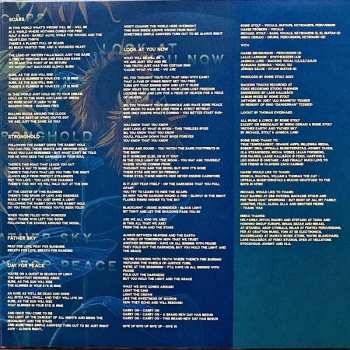 2LP The Flower Kings: Look At You Now LTD