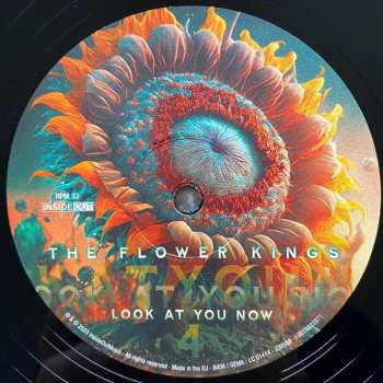 2LP The Flower Kings: Look At You Now LTD