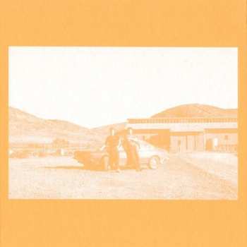 SP The Frenzied Bricks: (Can I) Bridge The Gap/Entropy LTD