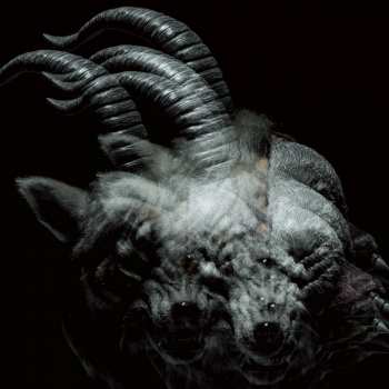 Album the GazettE: Beautiful Deformity