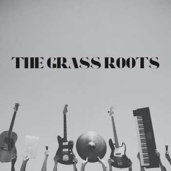 Album The Grass Roots: Golden Grass: Their Greatest Hits