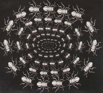 CD The Handsome Family: Wilderness DIGI