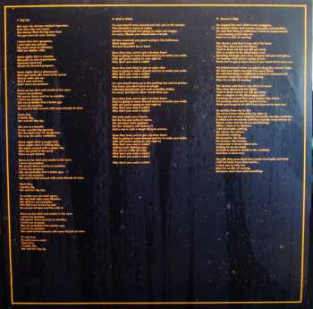 2LP The Hold Steady: Teeth Dreams
