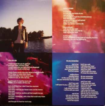 2LP The Horrors: Primary Colours