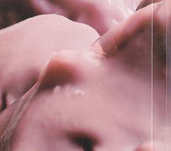 CD The Horrors: V