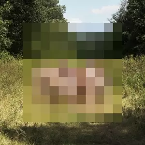The Hotelier: Goodness