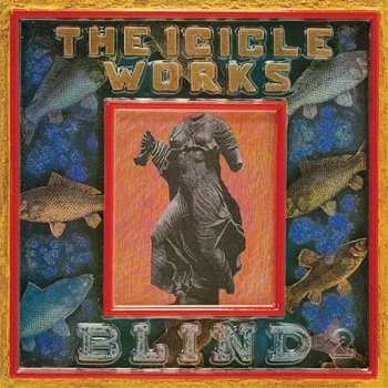 5CD/Doos The Icicle Works: 5 Albums