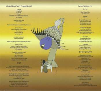 CD The Joy Formidable: A Balloon Called Moaning / Y Falŵn Drom LTD