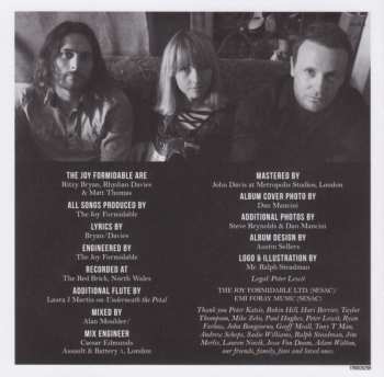 CD The Joy Formidable: Hitch DIGI