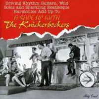 A Rave Up With The Knickerbockers