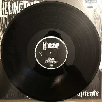 LP The Lillingtons: Stella Sapiente