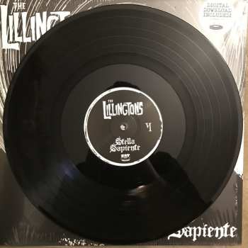 LP The Lillingtons: Stella Sapiente