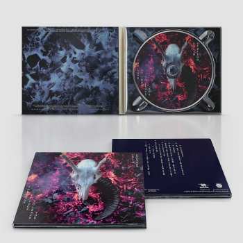 CD Colin Stetson: The Love It Took to Leave You