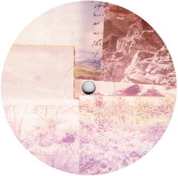 LP The Marcus King Band: Carolina Confessions