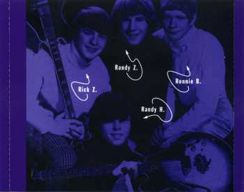 CD The McCoys: Hang On Sloopy - The Best Of The McCoys