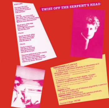 CD The Mekons: So Good It Hurts