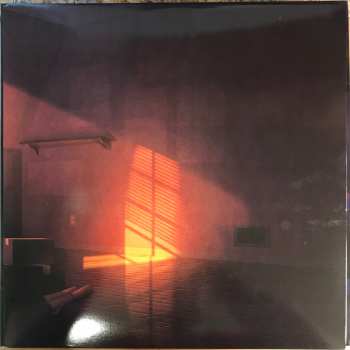 2LP The Midnight: Monsters LTD | CLR