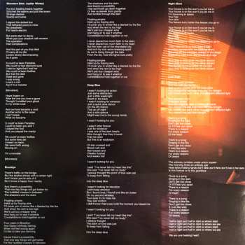 2LP The Midnight: Monsters LTD | CLR
