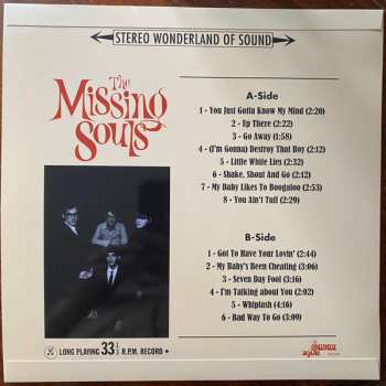 LP The Missing Souls: The Missing Souls LTD | DLX