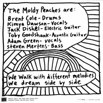 2LP The Moldy Peaches: The Moldy Peaches