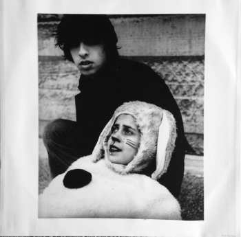 2LP The Moldy Peaches: The Moldy Peaches