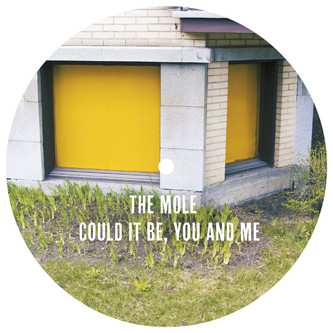 LP The Mole: Could It Be, You And Me