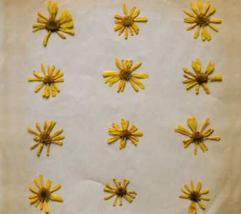 Album The Molochs: Flowers In The Spring