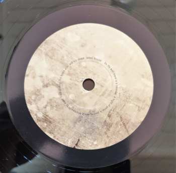 LP The Mountain Goats: Get Lonely