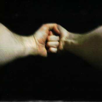 CD The Mountain Goats: The Sunset Tree