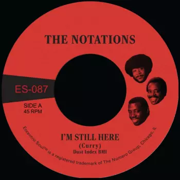 I'm Still Here