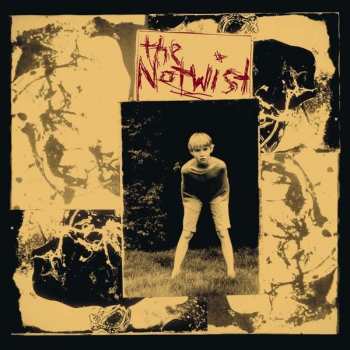 CD The Notwist: The Notwist
