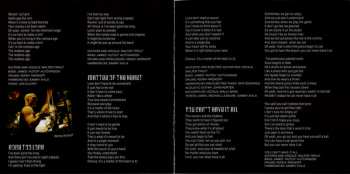 CD Walter Trout: The Outsider