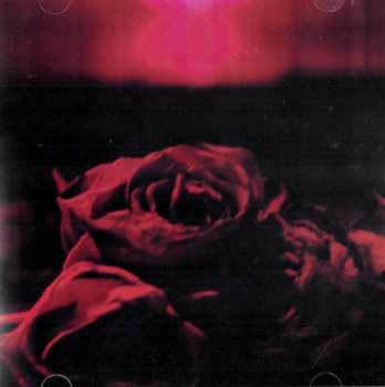CD The Paper Kites: Roses