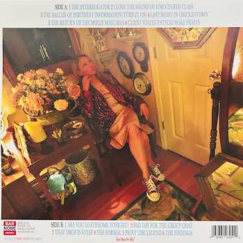 LP The Paranoid Style: The Interrogator