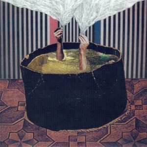 CD The Phantom Band: The Wants